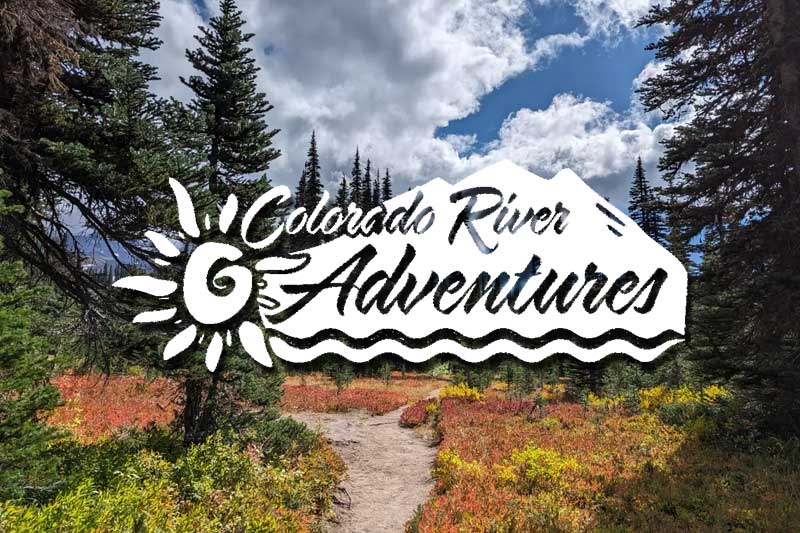 Colorado River Adventures Campground Membership Resales A luxury motorhome RV camper parked on a spacious concrete pad at a gated Colorado River Adventures private campground resort with waterfront palm trees.